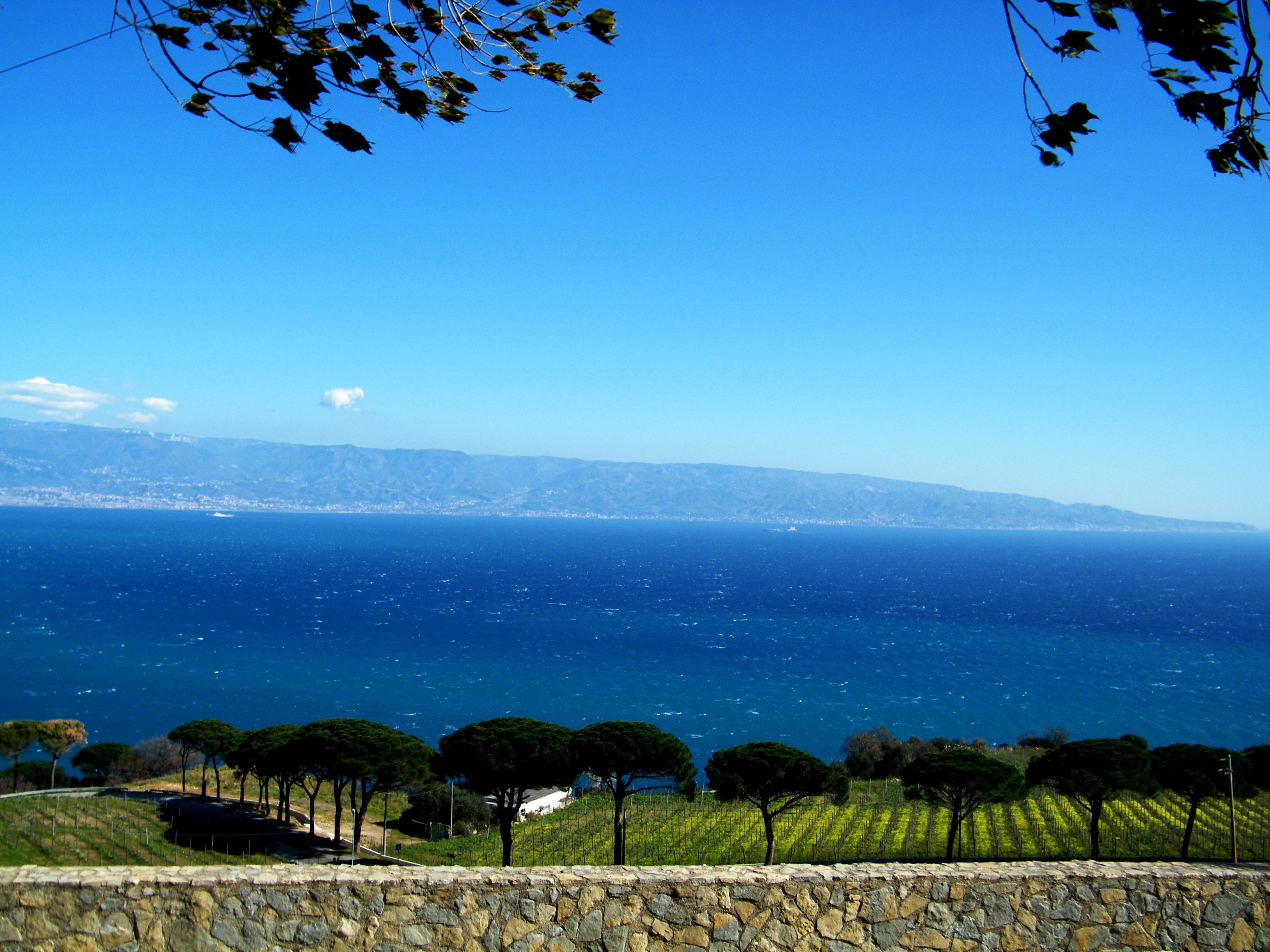 DSCF3913.jpg