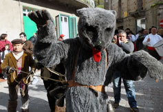 Orso