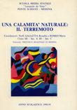 Una calamità naturale il terremoto