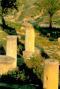 comune