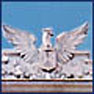 Foto Organizzazione