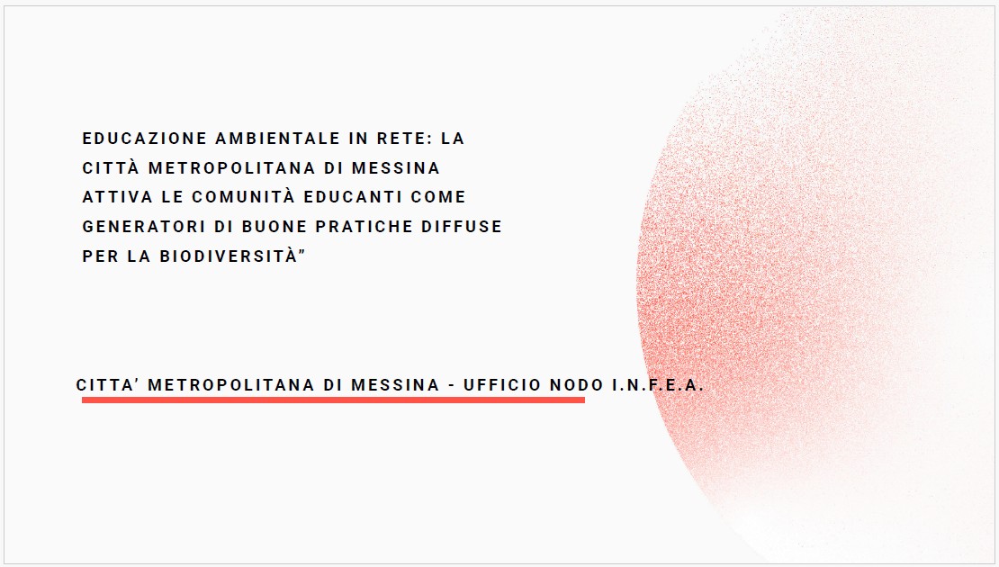 26 maggio 2026 Premio Basile 1