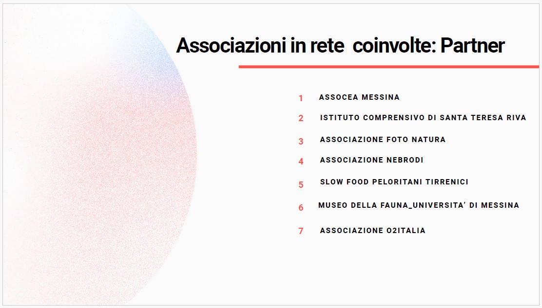 26 maggio 2026 Premio Basile 2