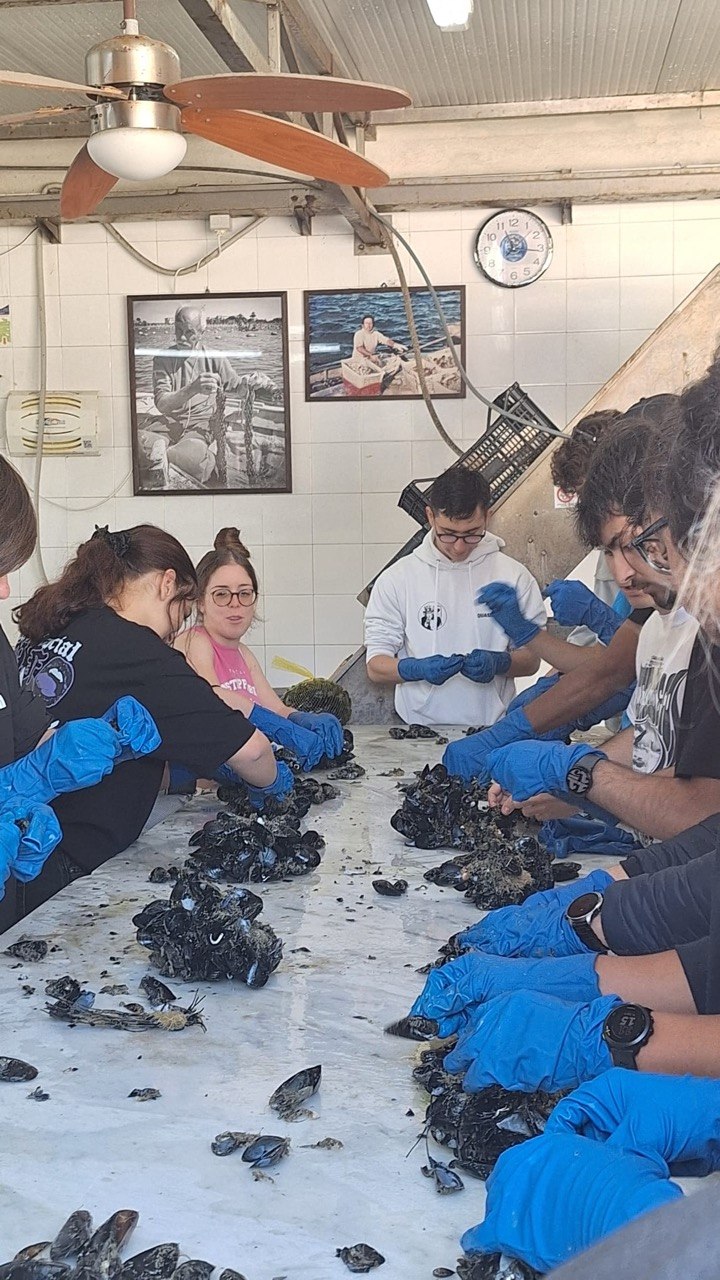 Ragazzi Ganzirri cozze